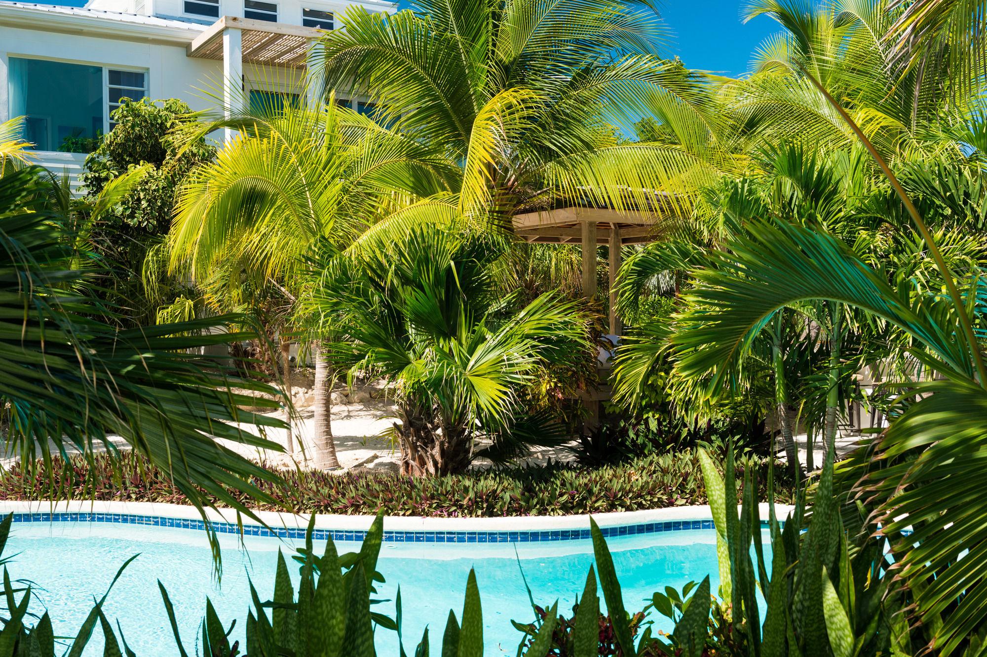 The Oasis At Grace Bay Hotell Eksteriør bilde